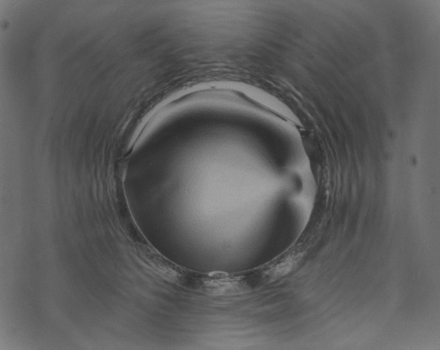 X0000073750516200608171334