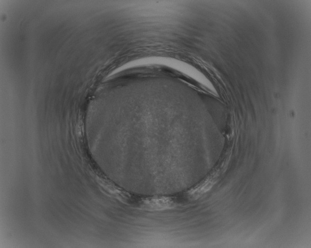 X0000073750517200608171334