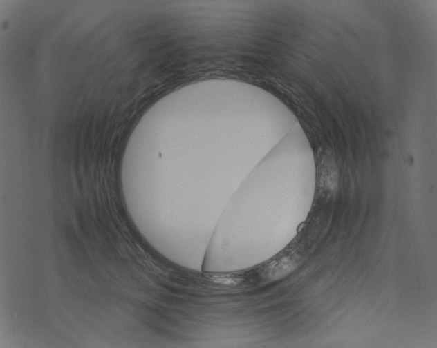 X0000073750518200608171334