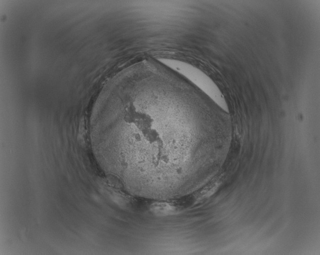 X0000073750519200608171334