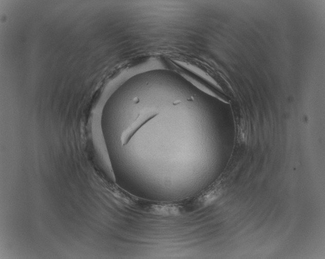 X0000073750520200608171334