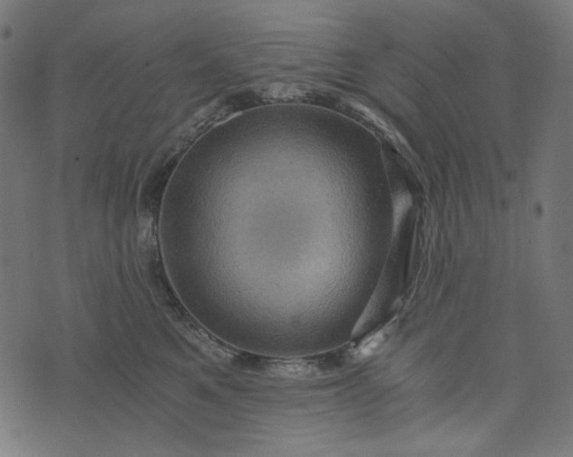 X0000073750521200608171334