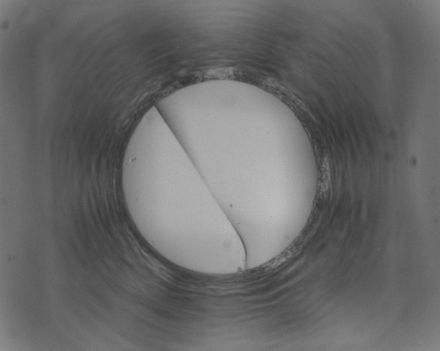 X0000073750522200608171334