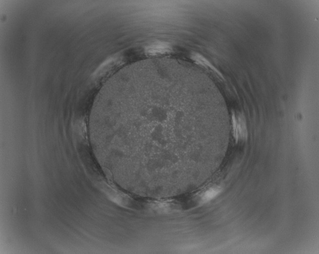 X0000073750523200608171334