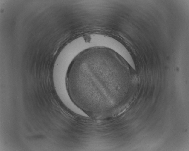 X0000073750524200608171334