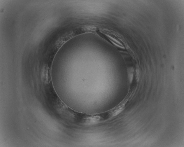 X0000073750525200608171334