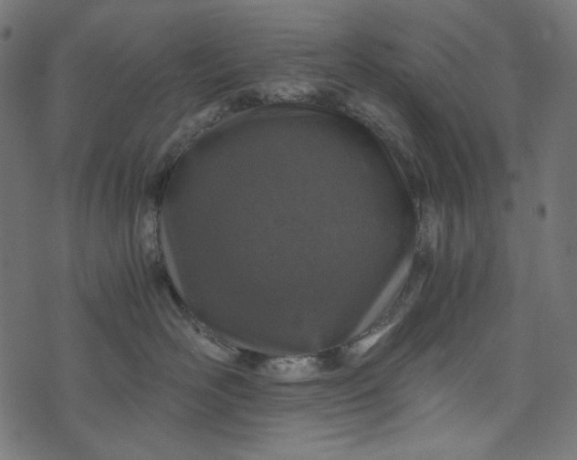 X0000073750526200608171334