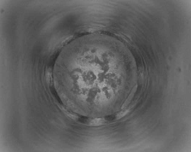 X0000073750527200608171334