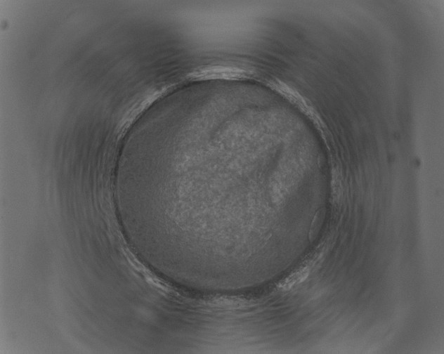 X0000073750529200608171333