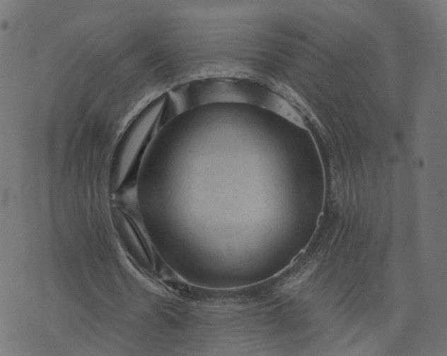 X0000073750530200608171333