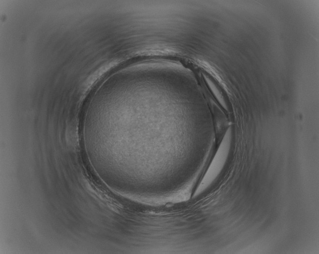 X0000073750531200608171333