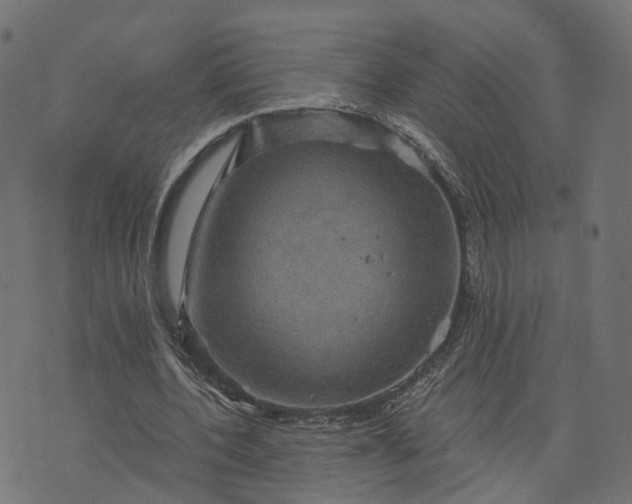 X0000073750532200608171333