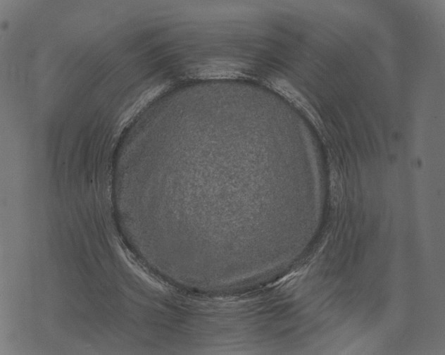 X0000073750533200608171333