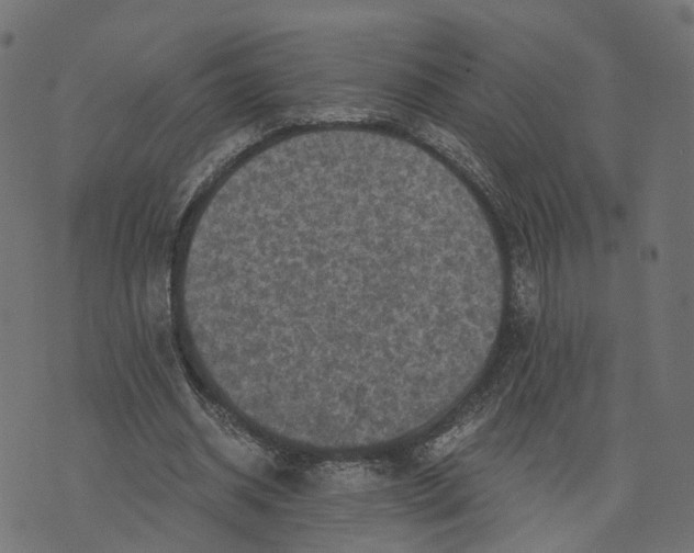 X0000073750534200608171334