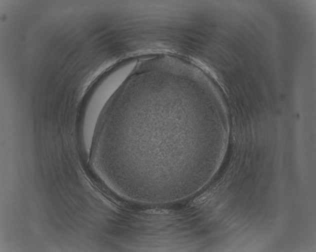 X0000073750535200608171334