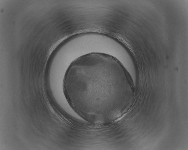 X0000073750536200608171334