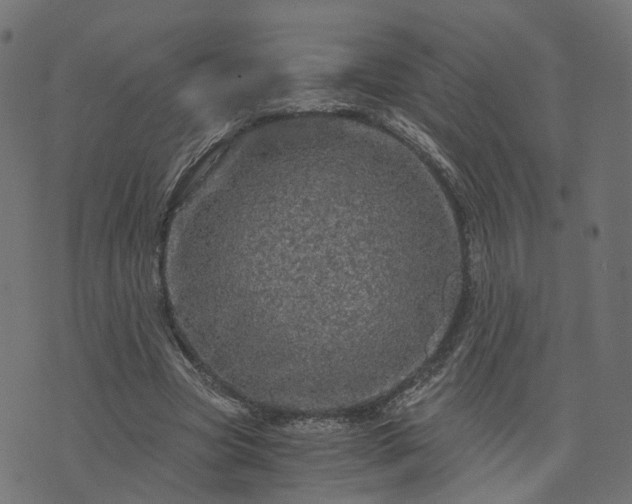 X0000073750537200608171334