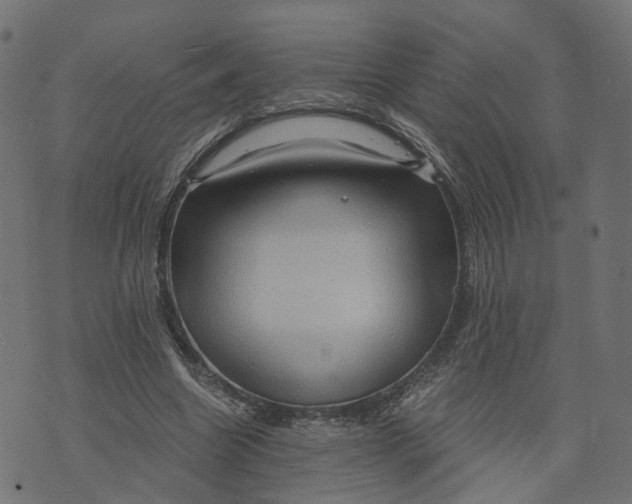 X0000073750538200608171334