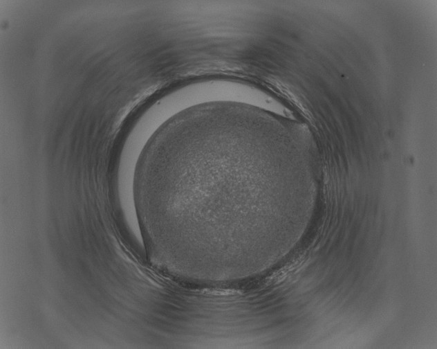 X0000073750539200608171334