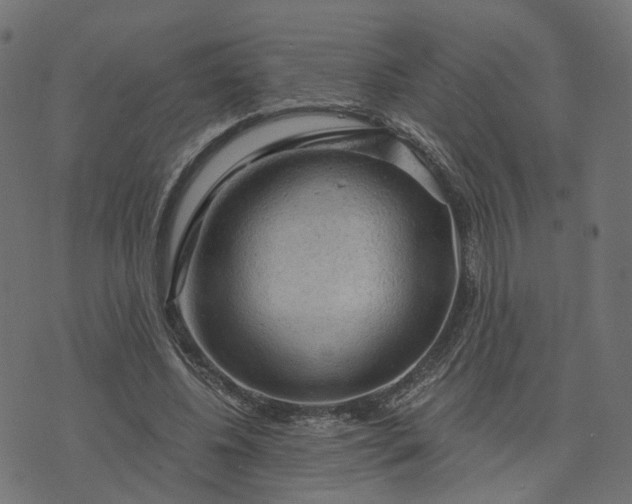 X0000073750540200608171334