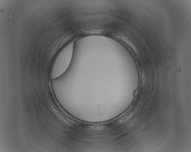 X0000073750541200608171334