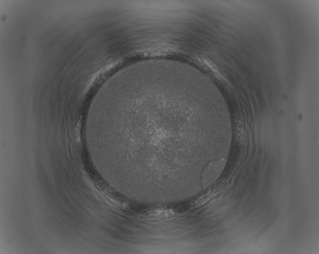 X0000073750543200608171334