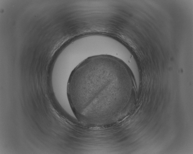 X0000073750544200608171334