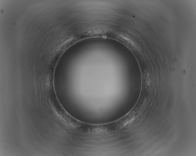 X0000073750546200608171334