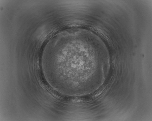 X0000073750547200608171334