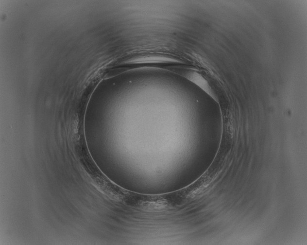 X0000073750548200608171334