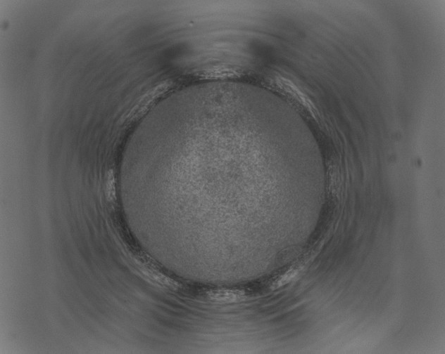 X0000073750549200608171334