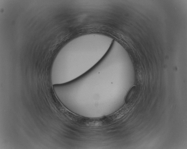 X0000073750551200608171334