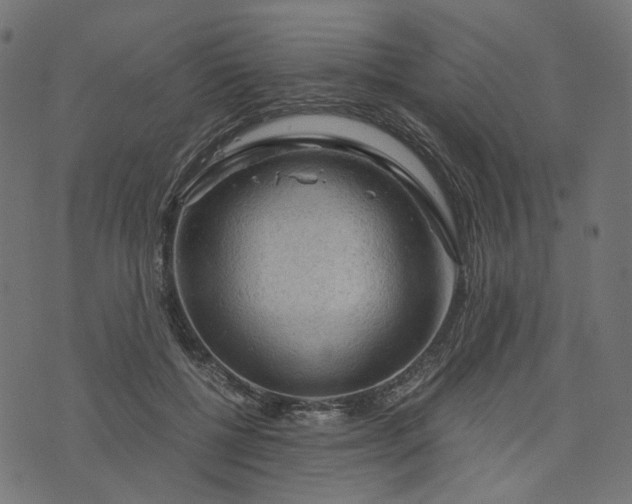 X0000073750552200608171334