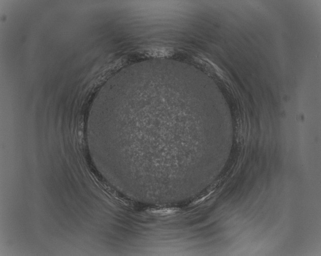 X0000073750553200608171334