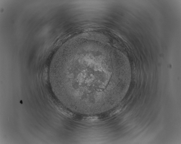 X0000073750554200608171334