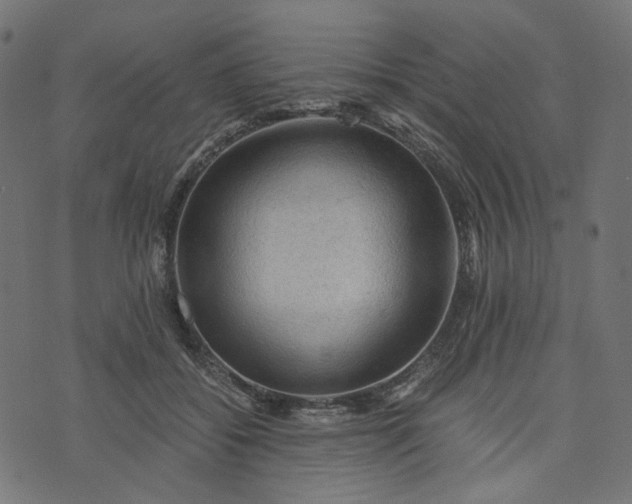 X0000073750556200608171334