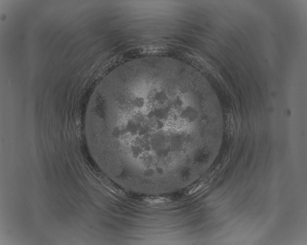 X0000073750557200608171334