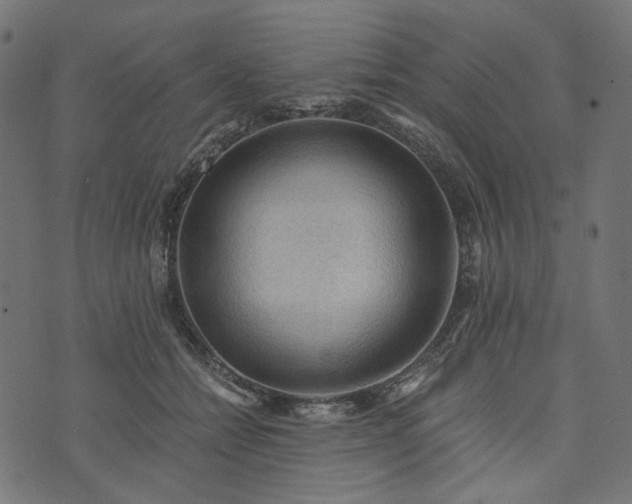 X0000073750558200608171334