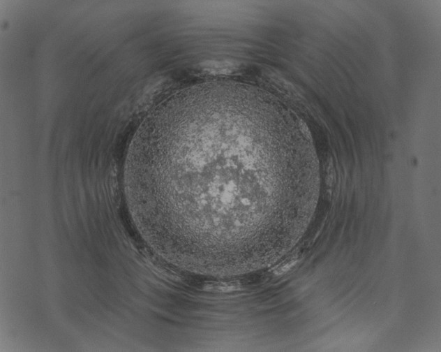 X0000073750559200608171334