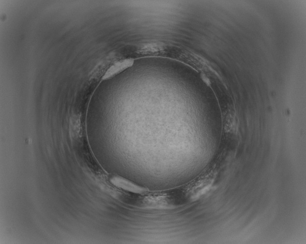 X0000073750560200608171334