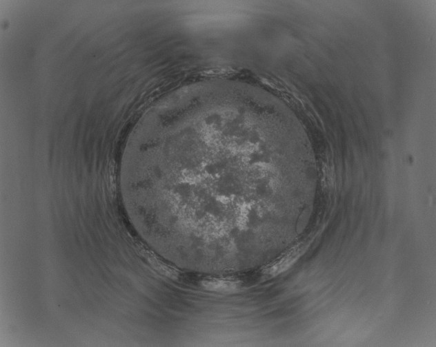 X0000073750561200608171334