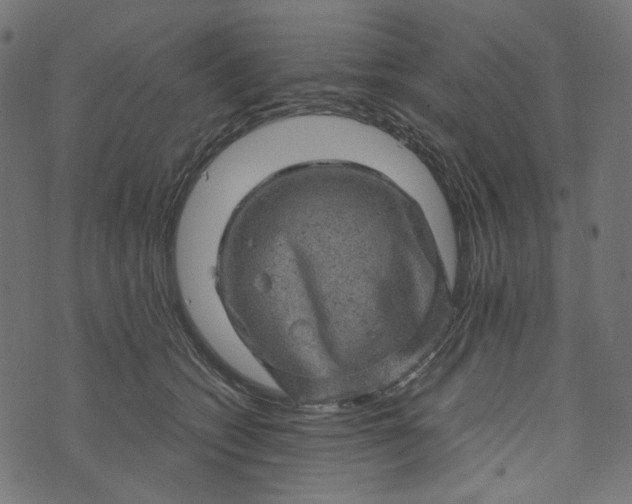 X0000073750562200608171334