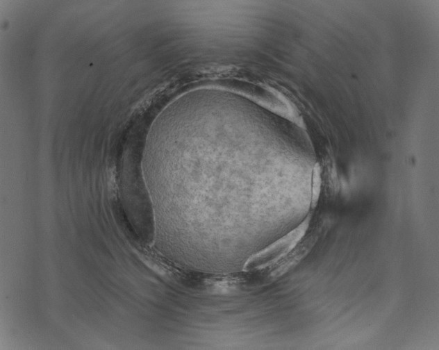 X0000073750564200608171334