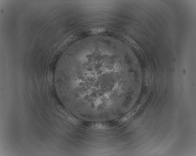 X0000073750565200608171334