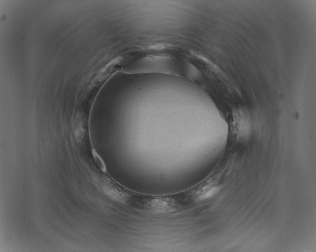 X0000073750566200608171334