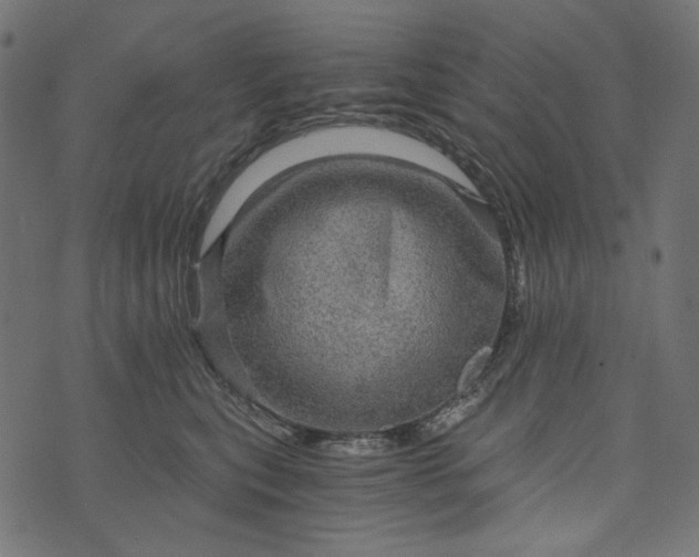 X0000073750567200608171334