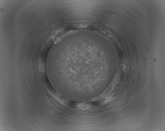 X0000073750568200608171334