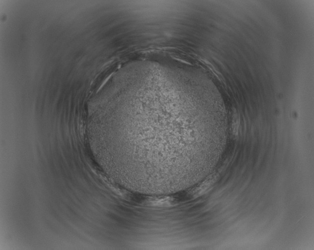 X0000073750569200608171334