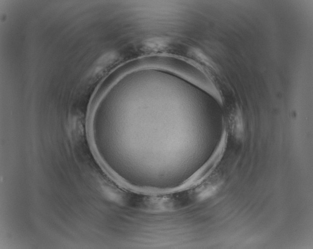 X0000073750570200608171334