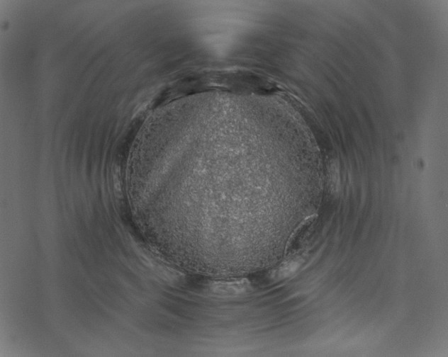 X0000073750571200608171334